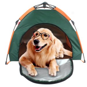 Best Camping Beds For Dogs