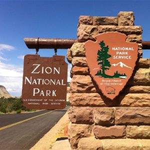 Camping In Zion National Park