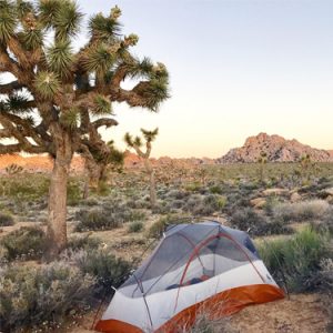 Camping in Joshua Tree National Park