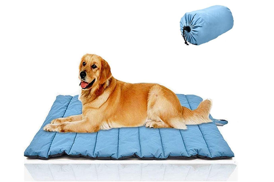 Cheer Hunting Outdoor Dog Bed