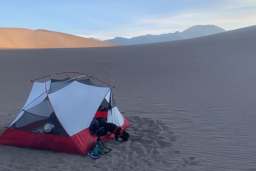 Great Sand Dunes National Park  Camping