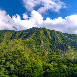 Smoky-Mountains