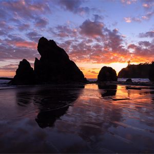 olympic-national-park-beach