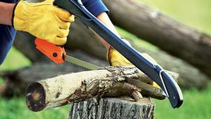 11 Best Camping Saws - Worth For Money