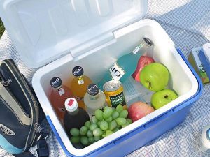 The Best Coolers for Camping in 2021