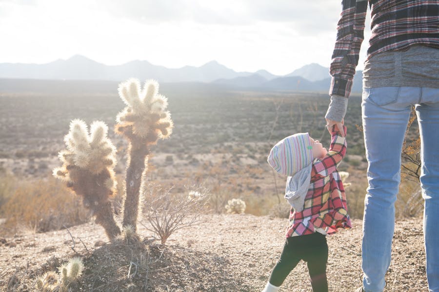 Best National Parks For Kids