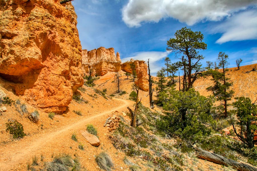Guide To Bryce Canyon National Park