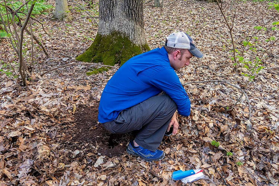 How to Poop in the Woods Without Toilet Paper