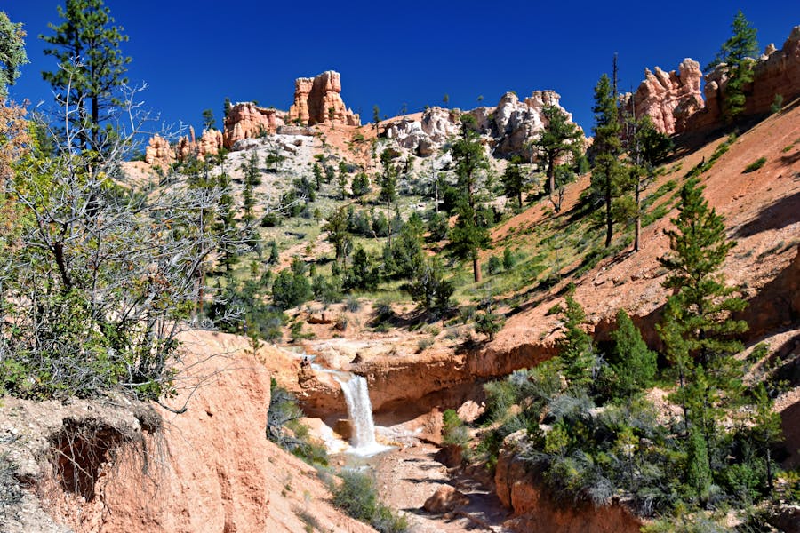 Camping In Bryce Canyon National Park
