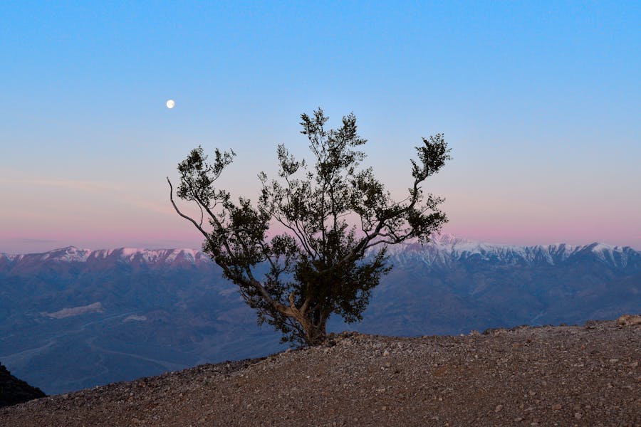 Guide To Camping In Death Valley National Park