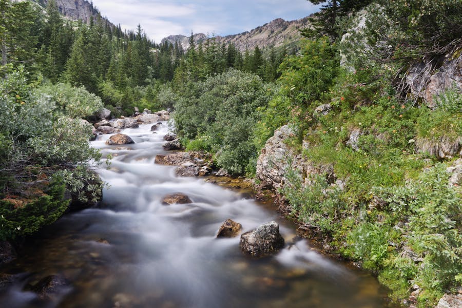 Guide to Grand Teton National Park