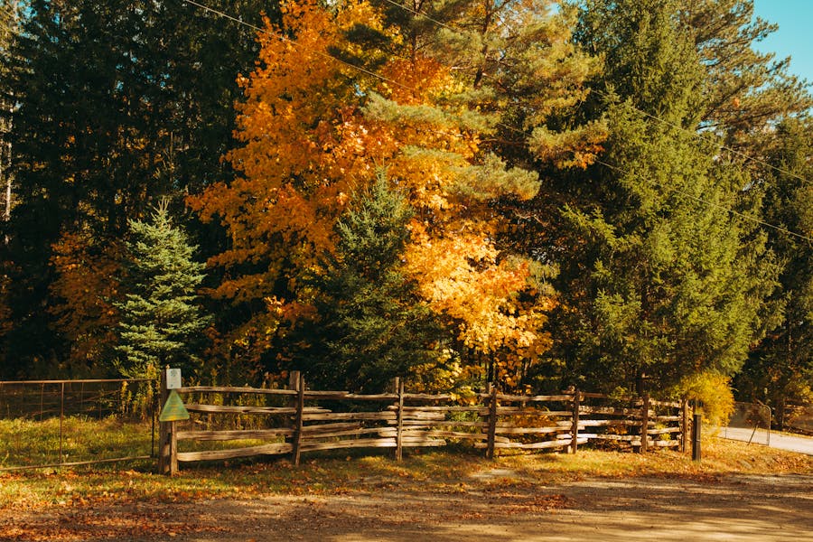 Guide To Cuyahoga Valley National Park